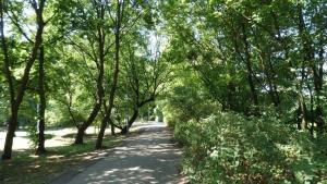 Park Witosa w Bydgoszczy - zdjęcie