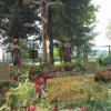 Ogród Biblijny w Myczkowcach, Danusia