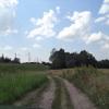 polan droga od domku Reymonta w stronę wsi, Danusia