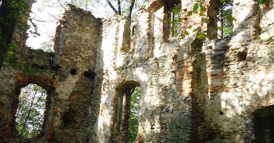 Rybnicki zamek. - zdjęcie