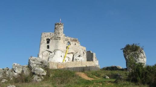 ruiny zamku w Mirowie, Danuta