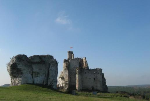 ruiny zamku w Mirowie, Danuta
