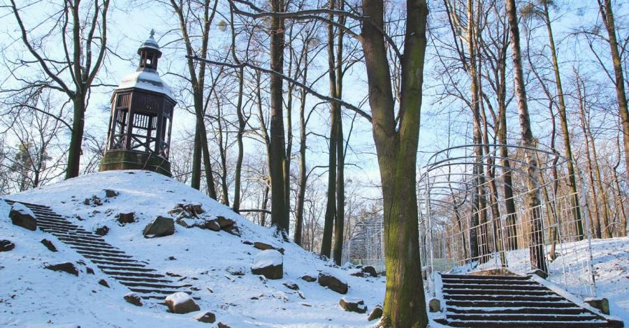 Zimowy park w Tarnowskich Górach - zdjęcie