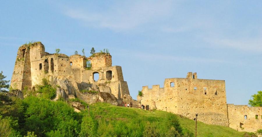 Zamek w Odrzykoniu - zdjęcie