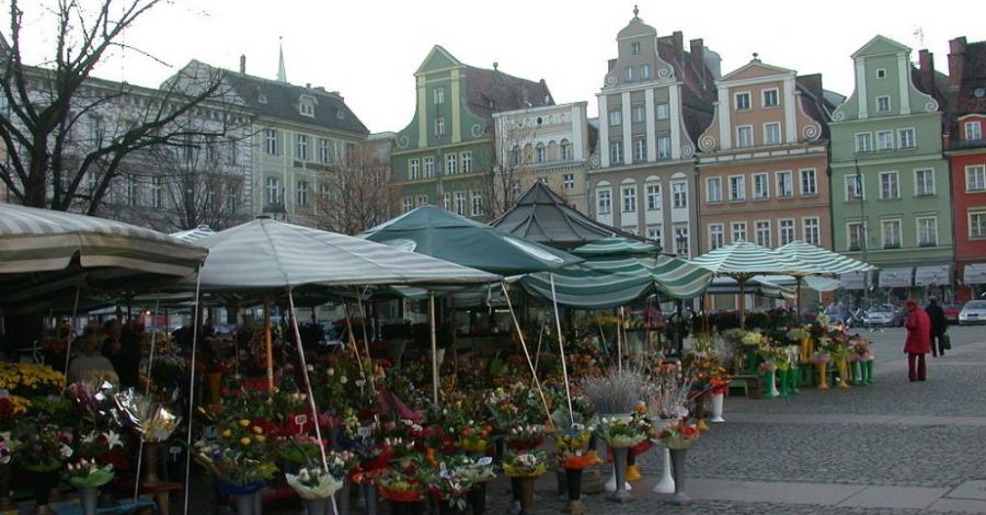Wrocław w pigułce - zdjęcie