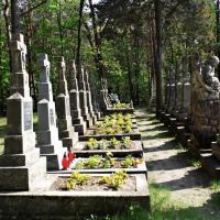 Cmentarz klasztorny #5, Patrycja Sadowska