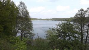 Jezioro Zbiczno - zdjęcie
