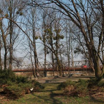 Park Nadodrzański w Brzegu