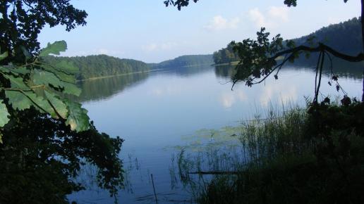 Jezioro Ciche, Wojtek