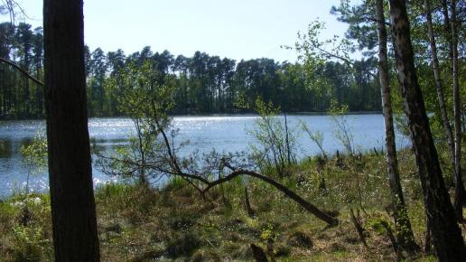 Jezioro Kochanka, Wojtek