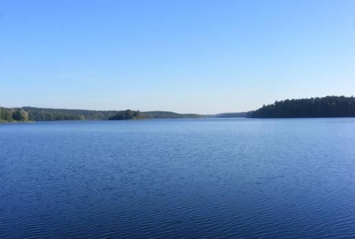Jezioro Bachotek, Wojtek