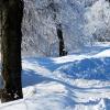 Góry Świętokrzyskie zimą, gustaw5 gustaw525@wp.pl