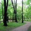 Park Schona w Sosnowcu