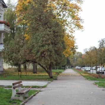 ulica Solankowa, Danusia
