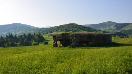 Fort Wyrwidąb w Węgierskiej Górce - zdjęcie