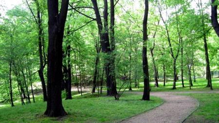 Park Schona w Sosnowcu - zdjęcie