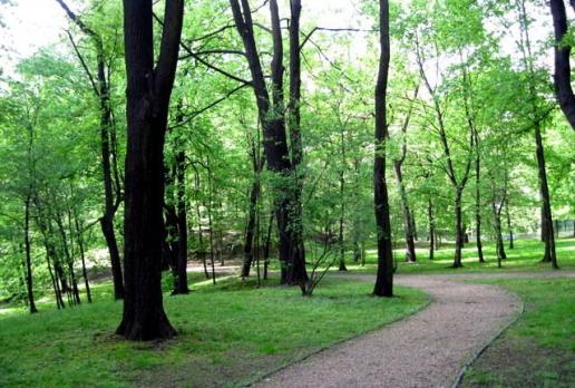 Park Schona w Sosnowcu, Roman Świątkowski