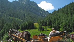 Dolina Kościeliska w Tatrach - zdjęcie