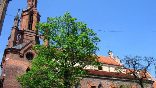 Kalisz katedra