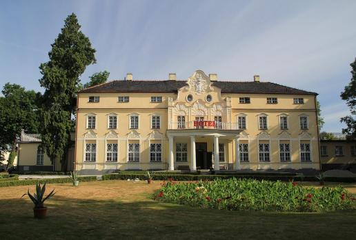 Pałac w Witaszycach