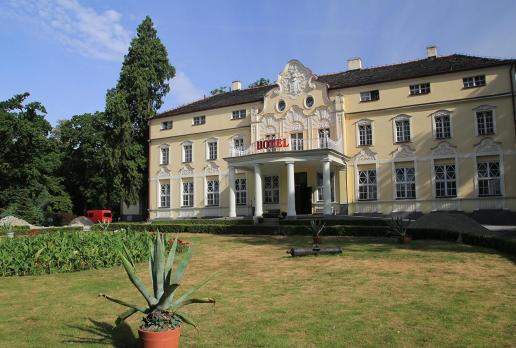 Witaszyce pałac