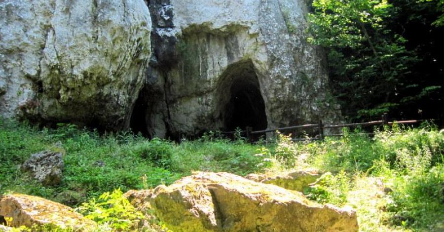 JURA- Jaskinia Wierzchowska, Dolina Kluczwody i Wąwóz Podskalński - zdjęcie