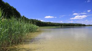 Jezioro Dręstwo na Mazurach - zdjęcie