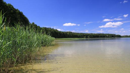 Jezioro Dręstwo