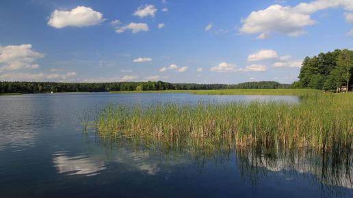 Jezioro Studzieniczne