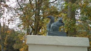 Inowrocławskie wiewiórki - zdjęcie