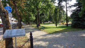 Park Konstytucji 3 Maja w Suwałkach - zdjęcie