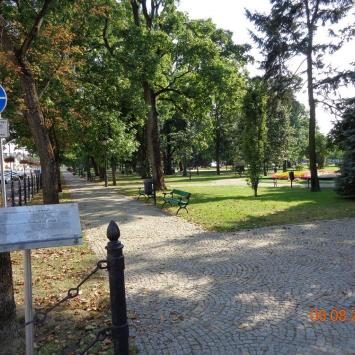 Park Konstytucji 3 Maja w Suwałkach, Danusia