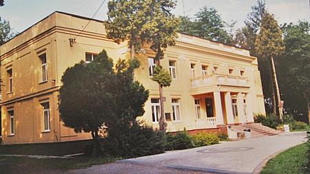 Pałac w Chorzenicach - zdjęcie