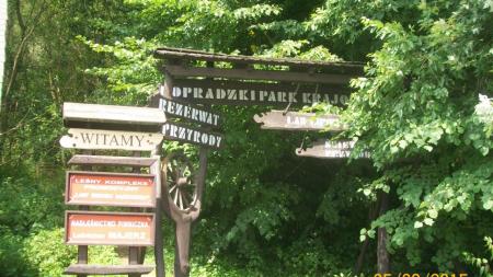 Ścieżka przyrodnicza w Popradzkim Parku Krajobrazowym - zdjęcie