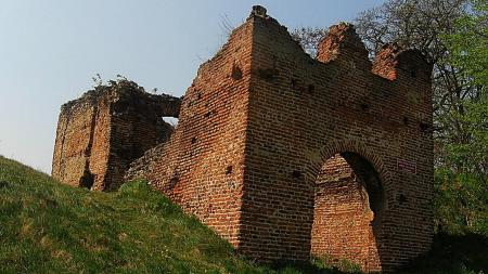 Zamek w Dankowie - zdjęcie