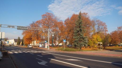 Janów - centrum, Tadeusz Walkowicz