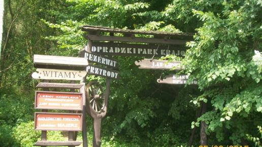 Ścieżka przyrodnicza w Popradzkim Parku Krajobrazowym, mirosław