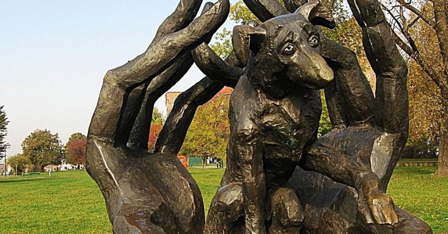 Pomnik psa Dżoka w Krakowie - zdjęcie