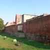 Fragmenty murów obronnych w Golubiu-Dobrzyniu, Danusia