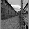 Auschwitz, Marcin_Henioo