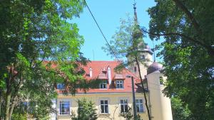 Pałac w Borzęciczkach - zdjęcie