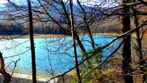 Jezioro Wielka Łąka w Wapienicy - zdjęcie