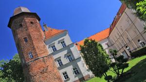 Zamek w Koźminie Wielkopolskim - zdjęcie