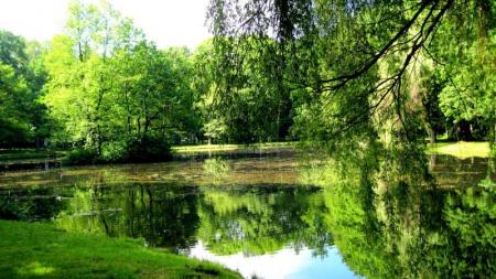 Park Zielona w Dąbrowie Górniczej - zdjęcie