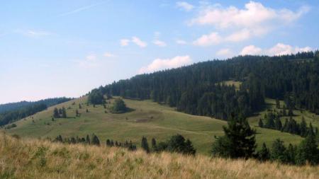 Przełęcz Rozdziela w Pieninach - zdjęcie