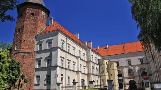 Koźmin Wielkopolski zamek