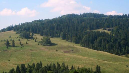 Przełęcz Rozdziela w Pieninach, Roman Świątkowski