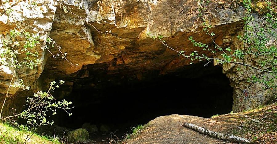 Rezerwat Szachownica w Lipiu - zdjęcie