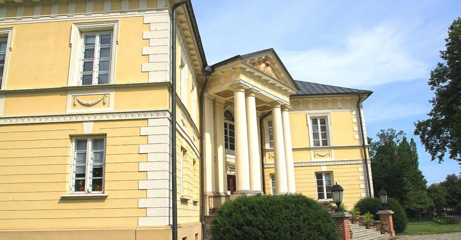 Pałac w Dobrzycy - zdjęcie