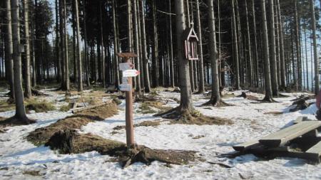 Mraźnica w Beskidzie Śląskim - zdjęcie